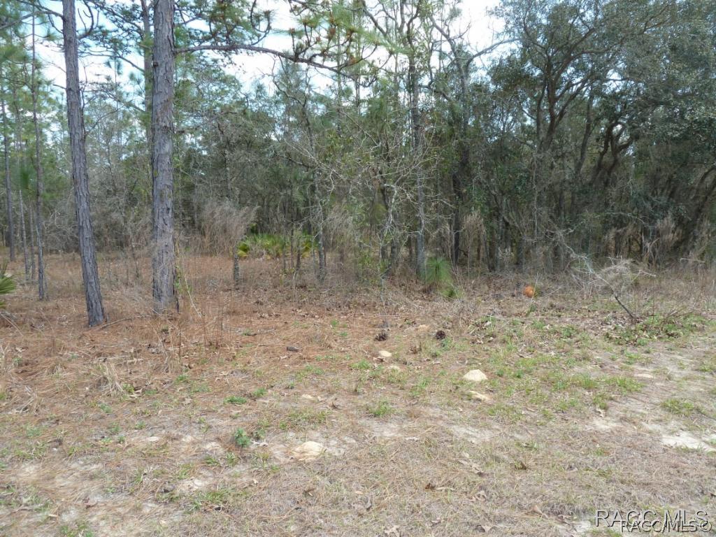 9 Poplar Ct., Homosassa, FL 34446