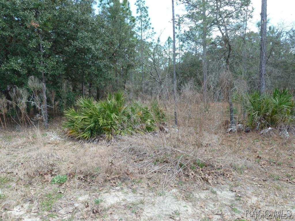 11 Poplar Ct., Homosassa, FL 34446