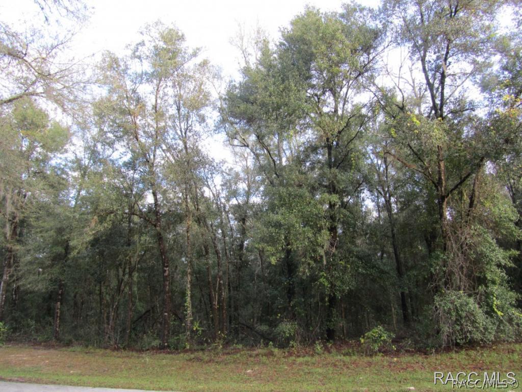 12 E Loring Ln., Inverness, FL 34452