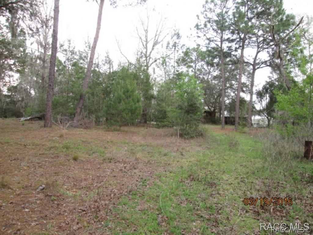 1689 S Bea Ave., Inverness, FL 34452