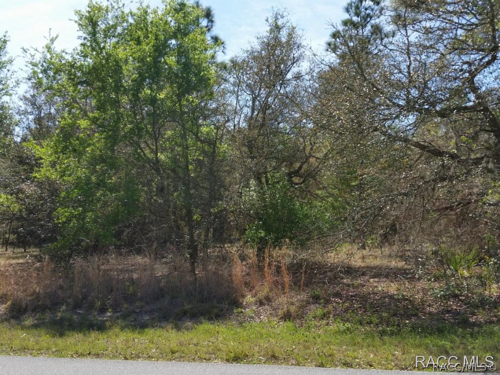 9088 S Berkshire Ave., Inverness, FL 34452