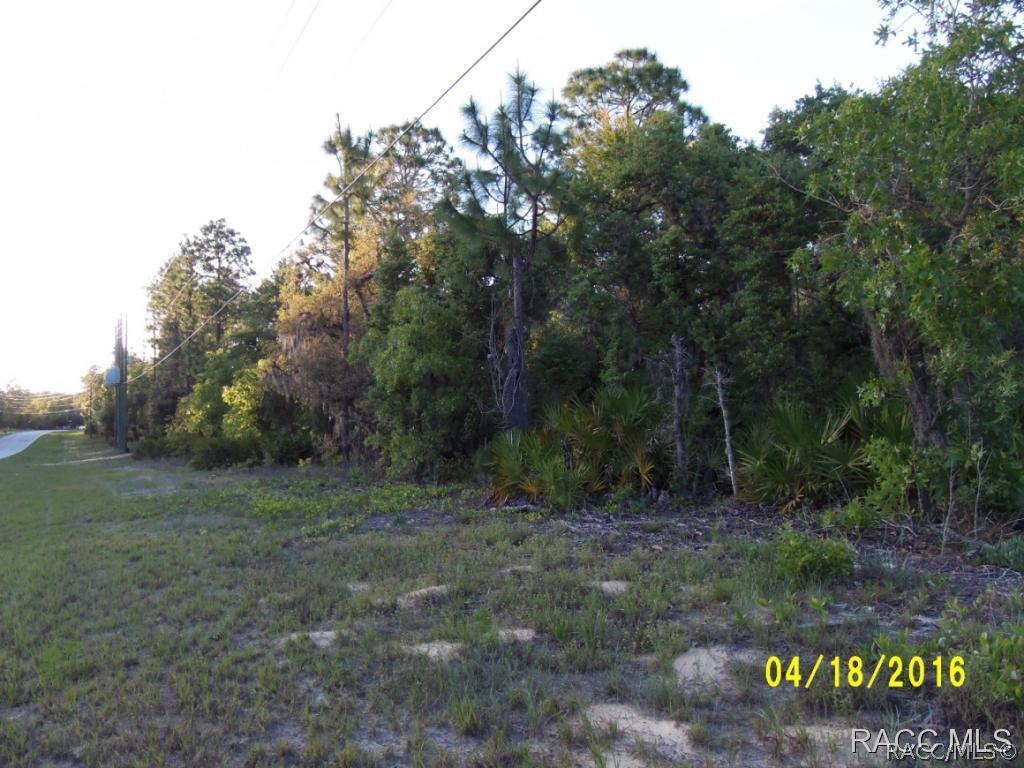 6268 W Pine Ridge Blvd., Beverly Hills, FL 34465