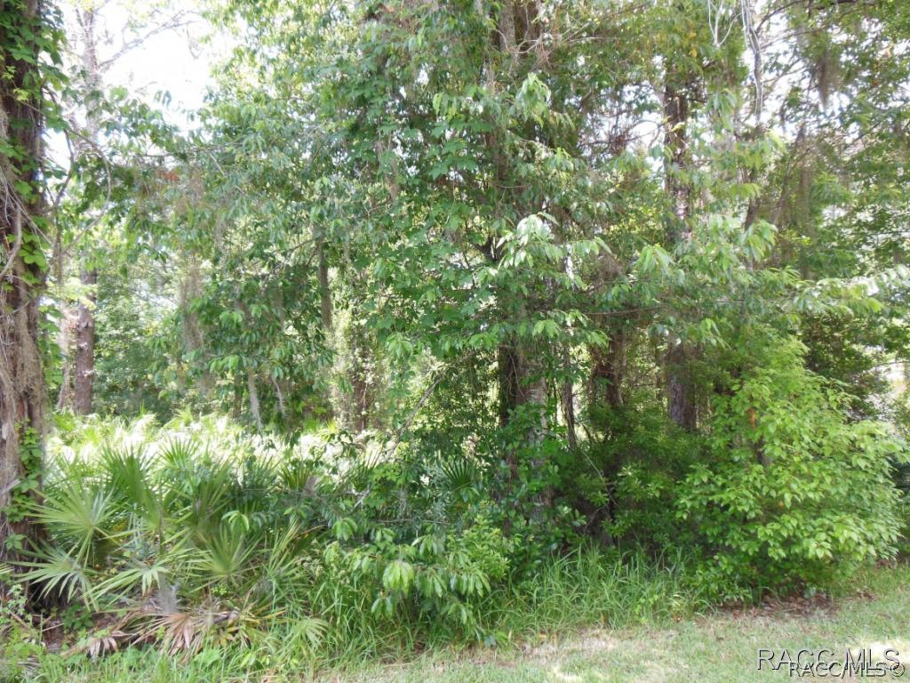 30 Wild Olive Ct., Homosassa, FL 34446