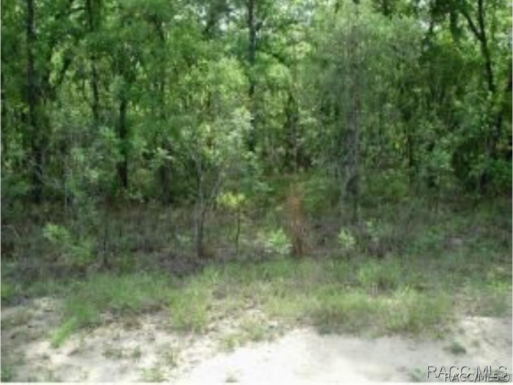 6324 E Grayson, Inverness, FL 34452