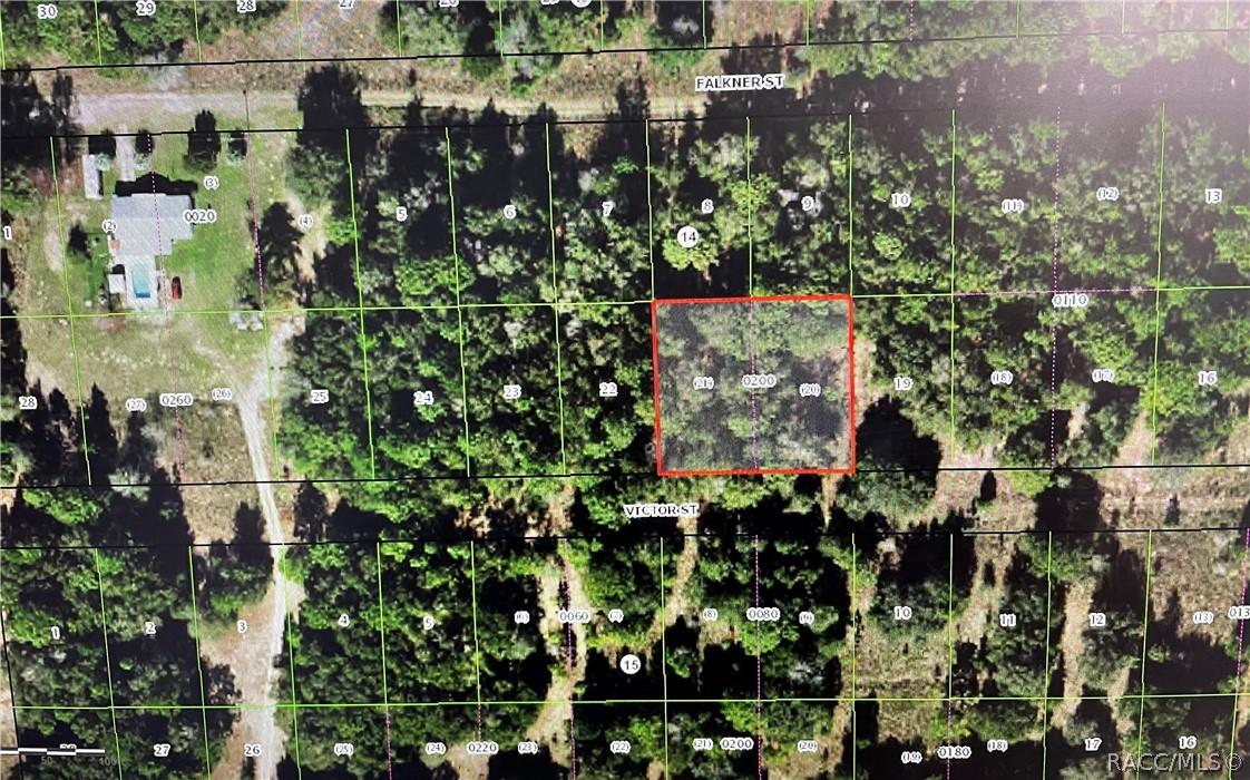 1910 Victor St., Inverness, FL 34453