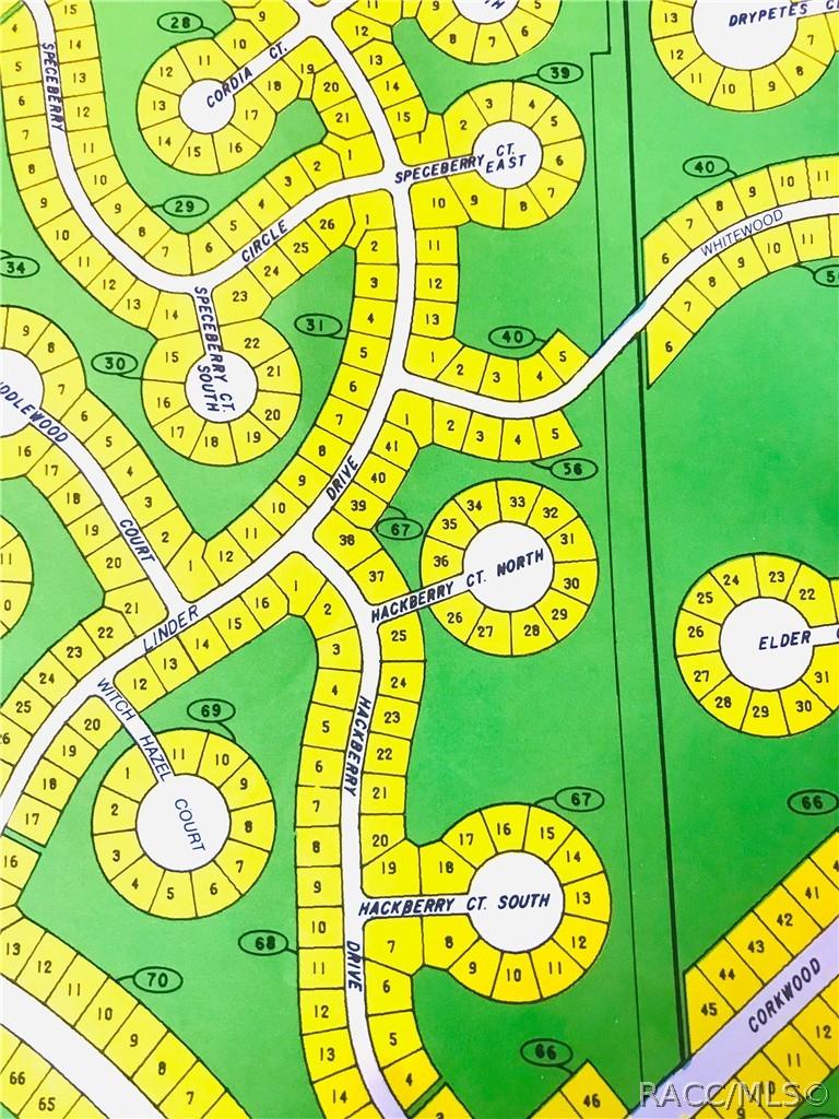 7 Hackberry Ct., Homosassa, FL 34446