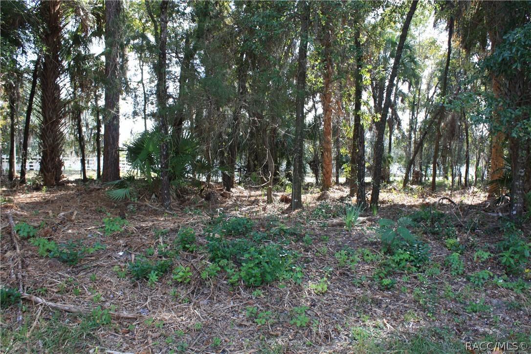9249 W Ozello Tr., Crystal River, FL 34429