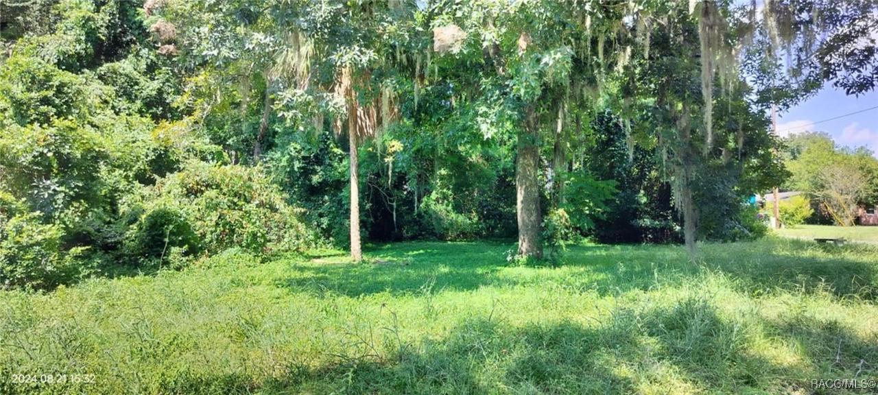 1980 S Tsala Ter., Inverness, FL 34450