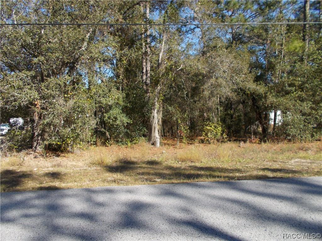 1401 E Bismark St., Hernando, FL 34442