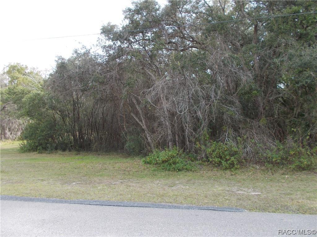 241 N Highview Ave., Hernando, FL 34442