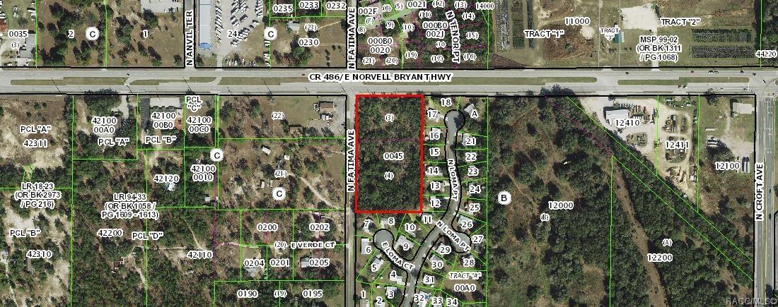2409 N Fatima Ave., Hernando, FL 34442