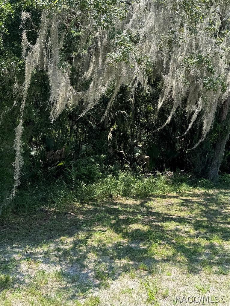 561 NE 13th Ter., Crystal River, FL 34428