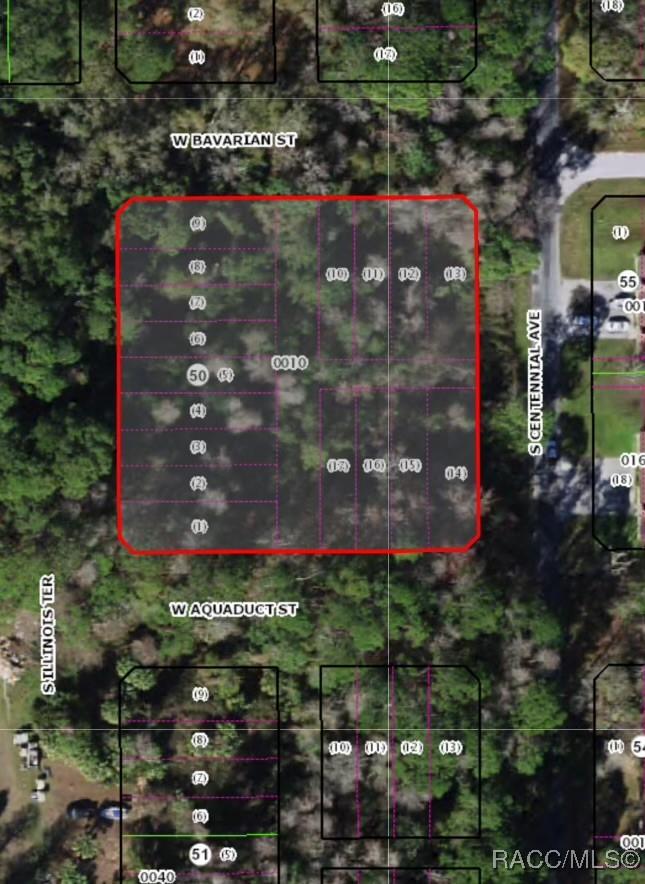 3919 S Illinois Ter., Homosassa, FL 34448