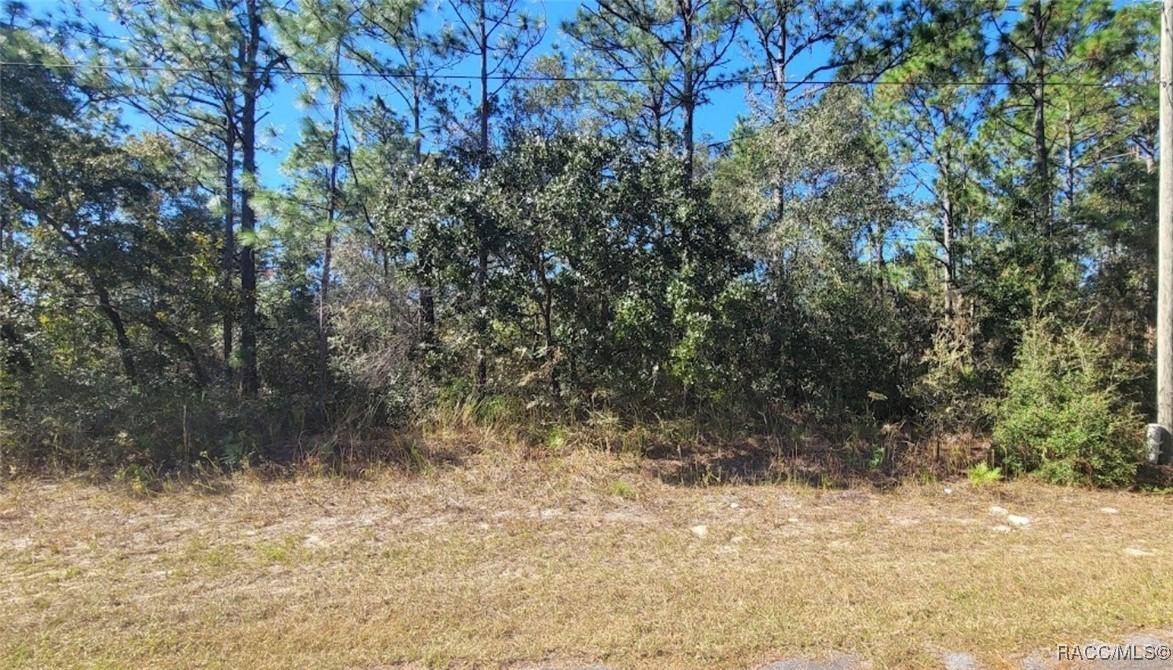8622 N Empire Ave., Citrus Springs, FL 34433