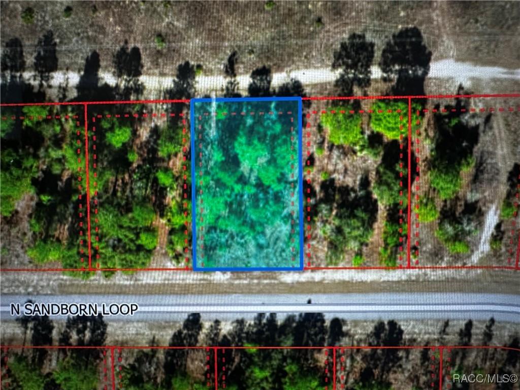 6866 N Sandborn Loop, Citrus Springs, FL 34433