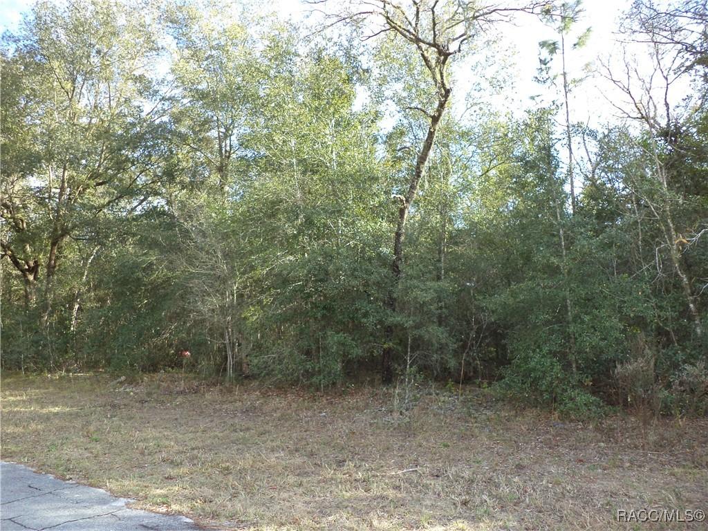 2690 W April Ln., Citrus Springs, FL 34654
