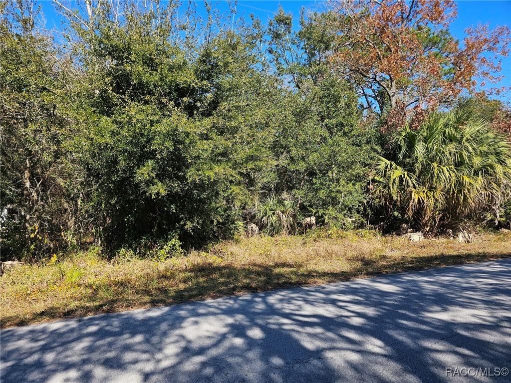 7147 W Jackson Ln., Homosassa, FL 34448