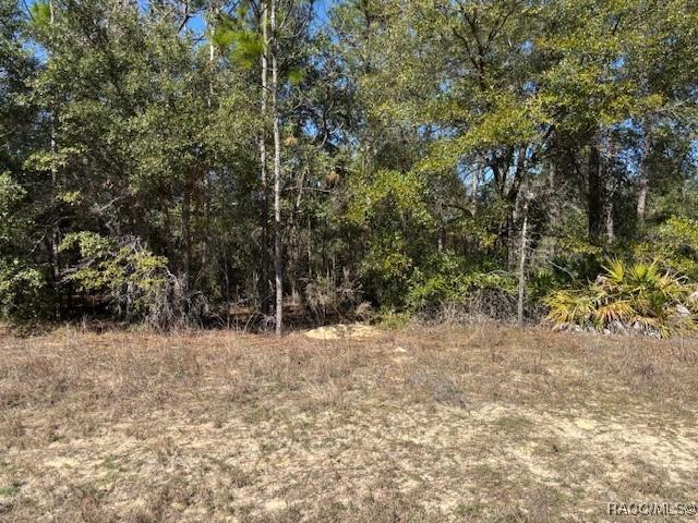 497 W Hummingbird Dr., Citrus Springs, FL 34434