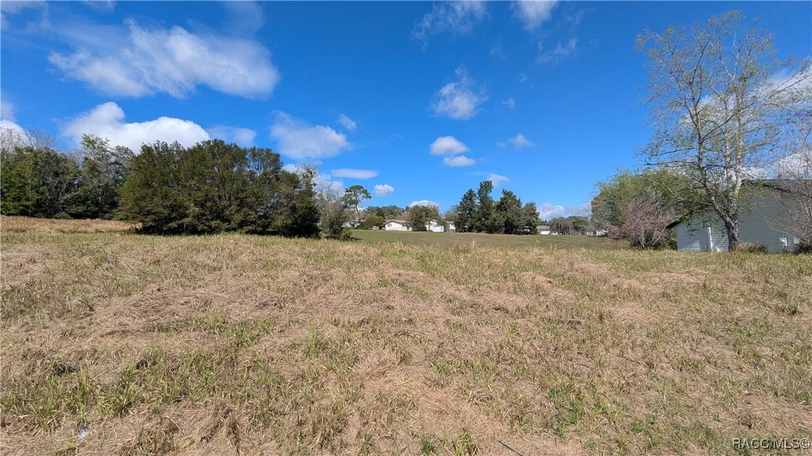 1221 W Buttonbush Dr., Beverly Hills, FL 34465