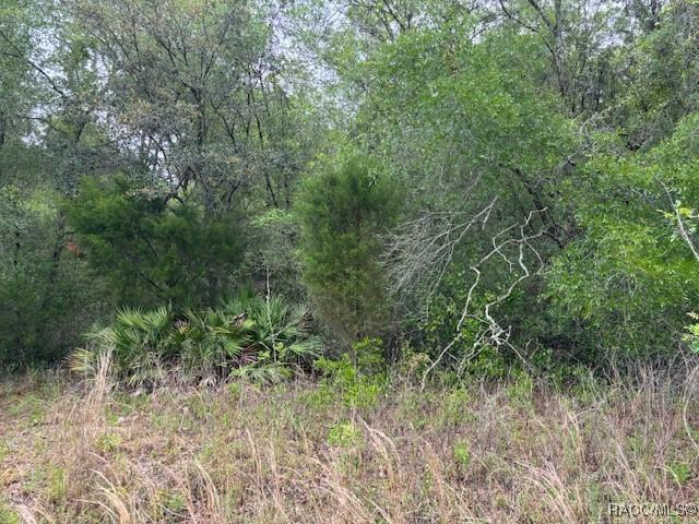 93 N Croft Ave., Inverness, FL 34453