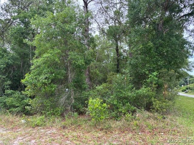 359 N Fitzpatrick Ave., Inverness, FL 34453