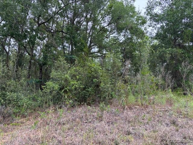 6717 E Gentry St., Inverness, FL 34452
