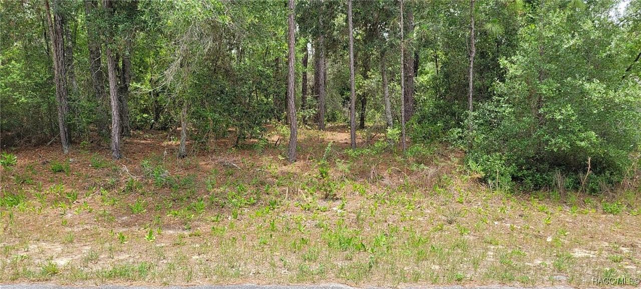 9169 N Saponaria Dr., Citrus Springs, FL 34433