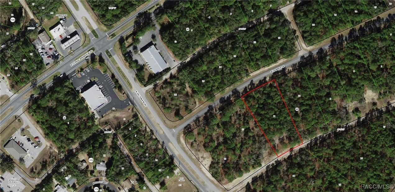 1648 W Donner Dr., Citrus Springs, FL 34434