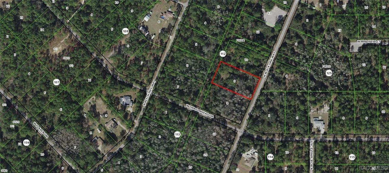 9296 N Black Oak Way, Crystal River, FL 34428