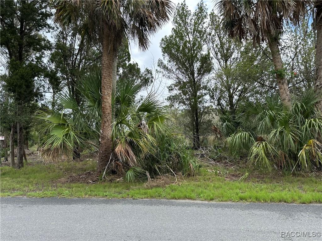 12345 W Standish Dr., Homosassa, FL 34448