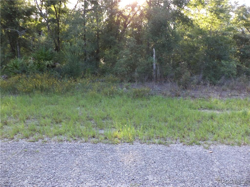 6402 N Matheson Dr., Citrus Springs, FL 34434