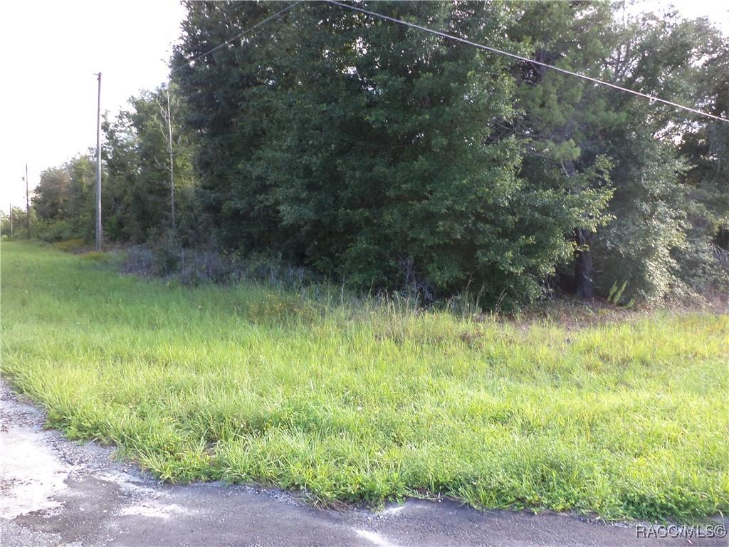 6424 N Matheson Dr., Citrus Springs, FL 34434