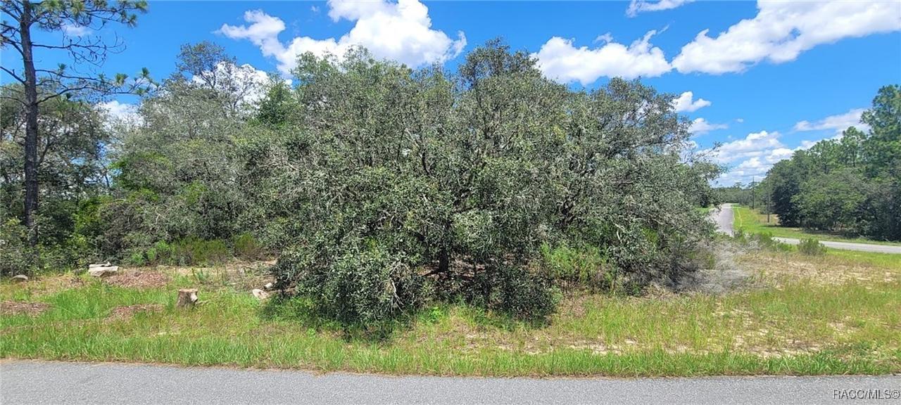 11250 N Ely Point, Dunnellon, FL 34433