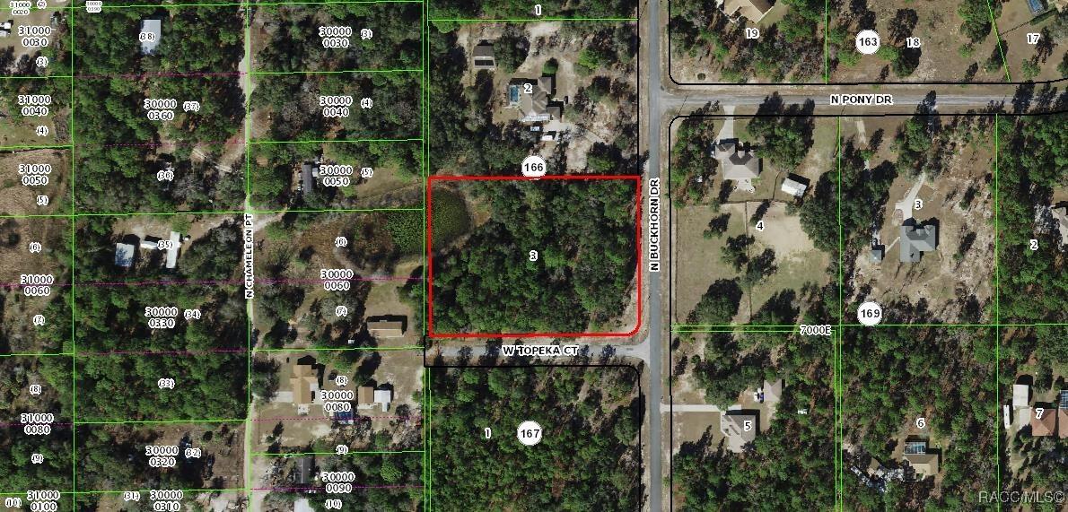 3368 N Buckhorn Dr., Beverly Hills, FL 34465