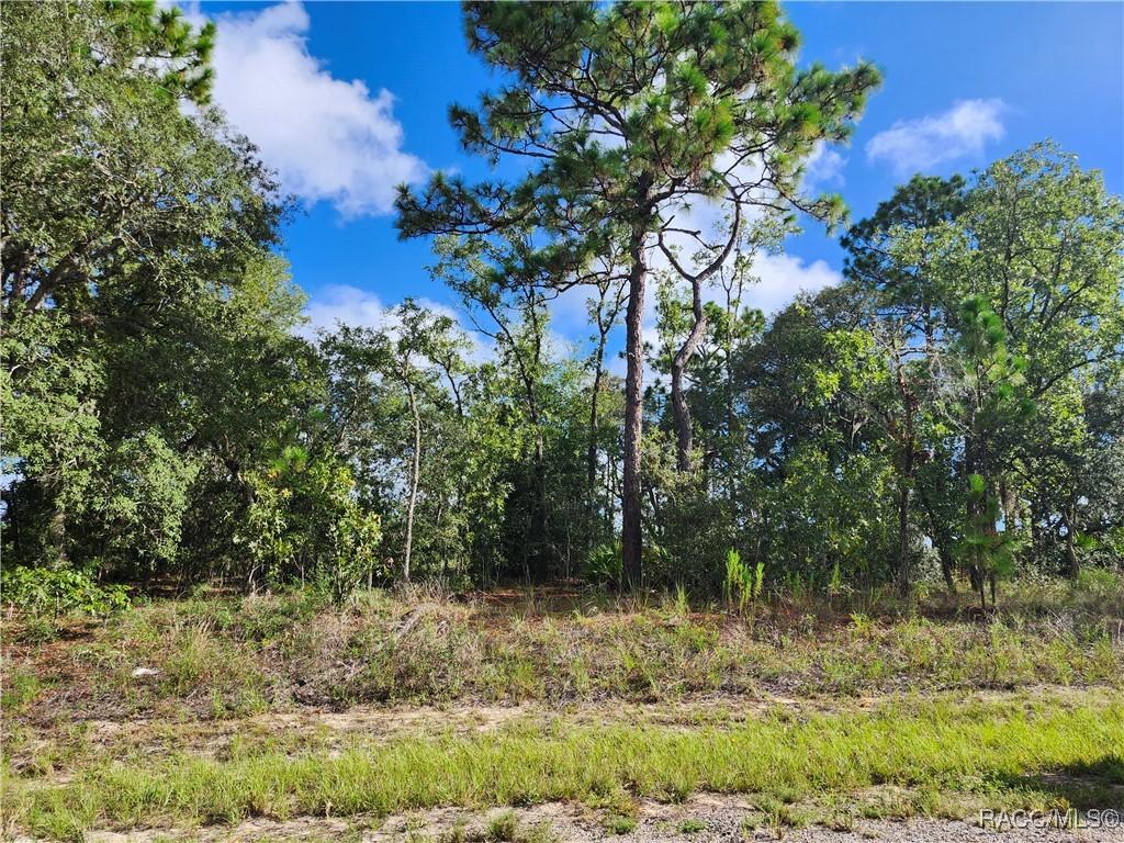 6731 N Darlington Dr., Dunnellon, FL 34434