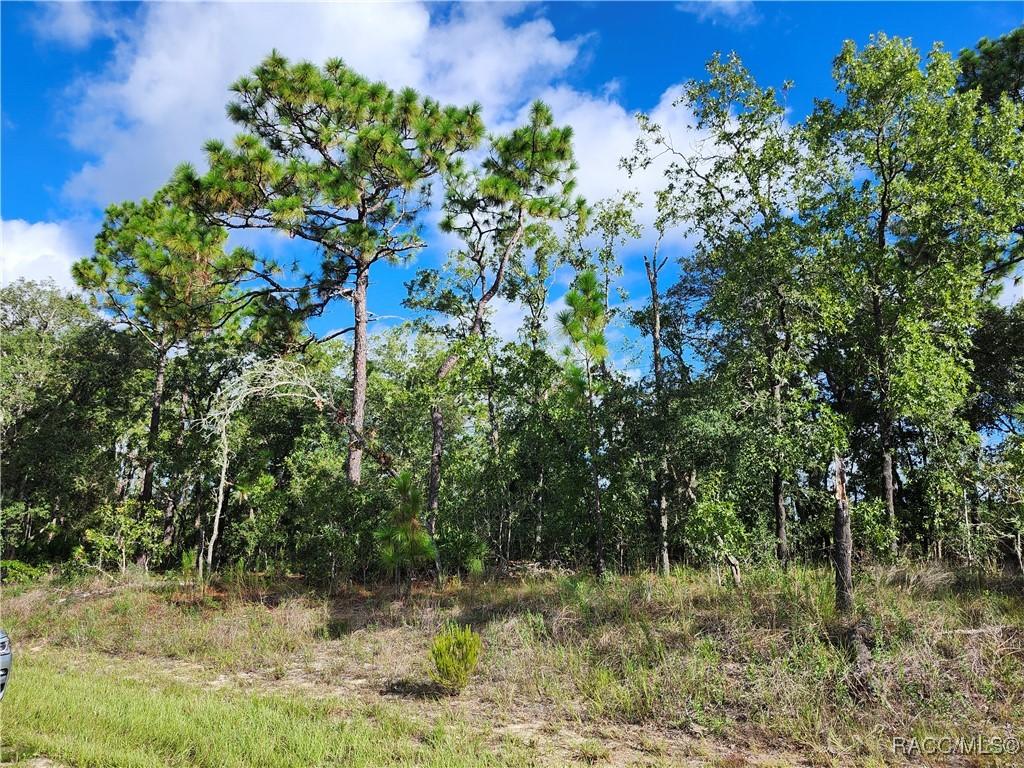 6741 N Darlington Dr., Dunnellon, FL 34434