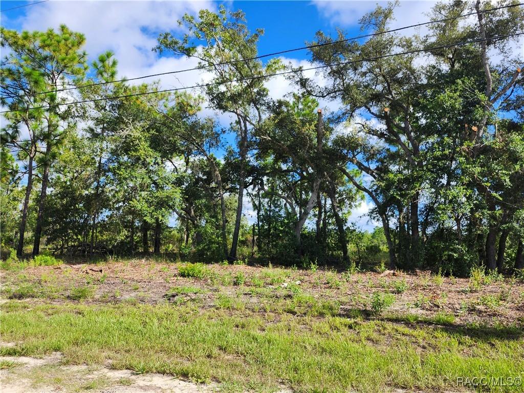 6715 N Darlington Dr., Dunnellon, FL 34434