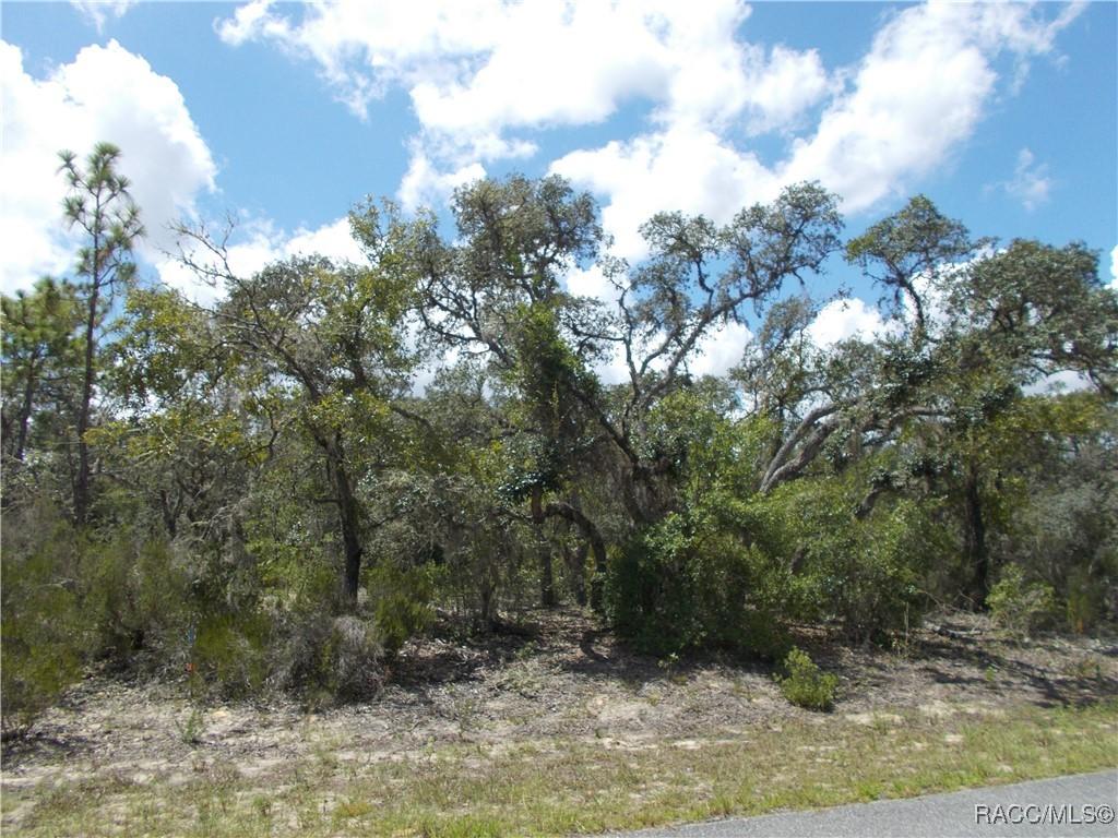 2792 W Gaucho Dr., Citrus Springs, FL 34434