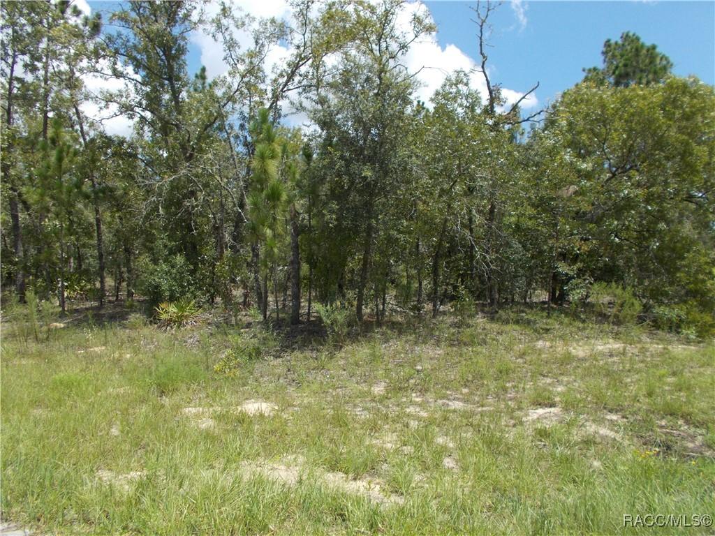 6751 N Waterfall Ter., Citrus Springs, FL 34434