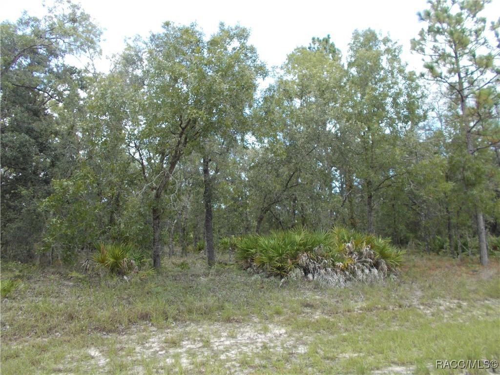 6667 N Underwood Dr., Citrus Springs, FL 34434