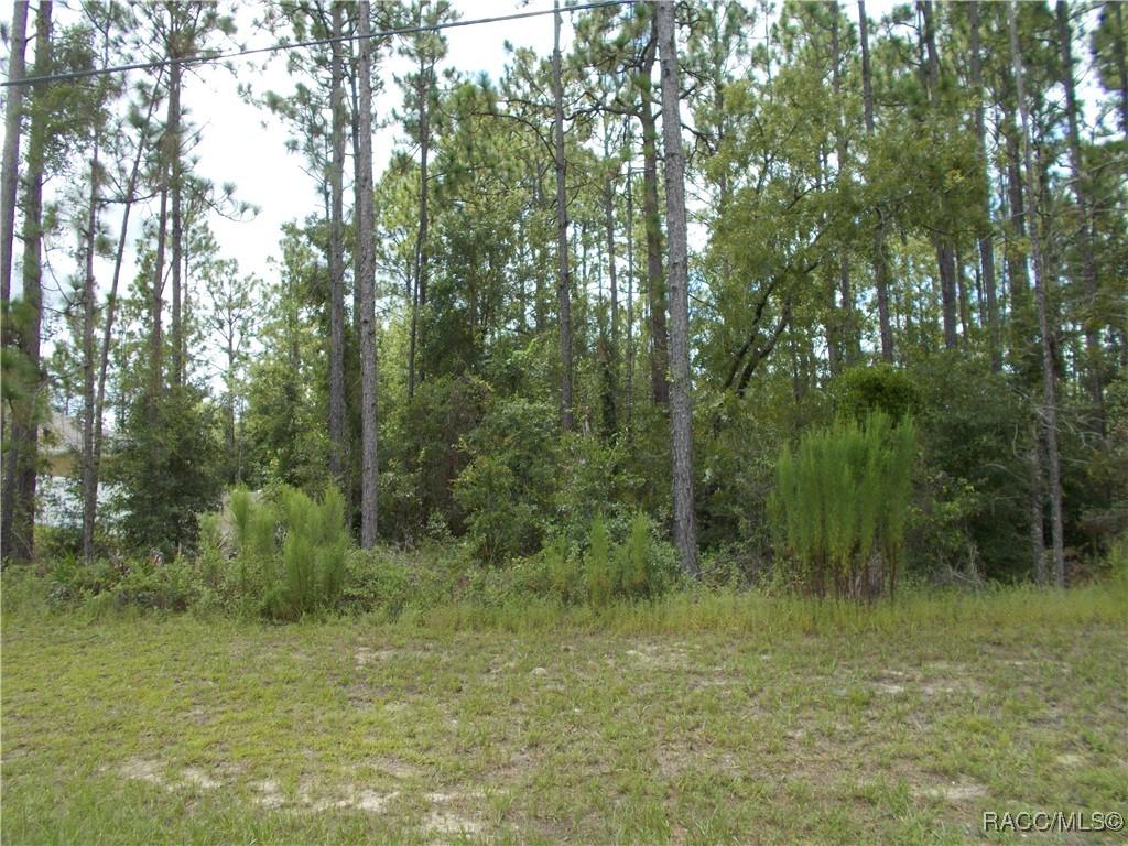 1168 W Citrus Springs Blvd., Citrus Springs, FL 34434