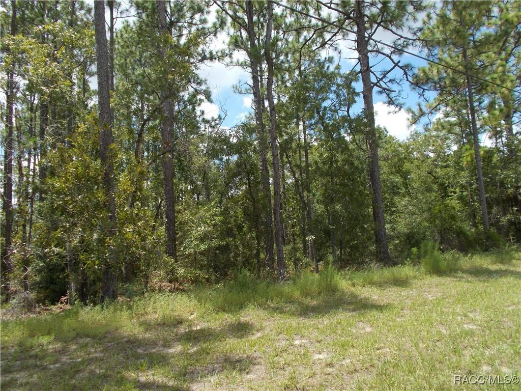 1152 W Citrus Springs Blvd., Citrus Springs, FL 34434