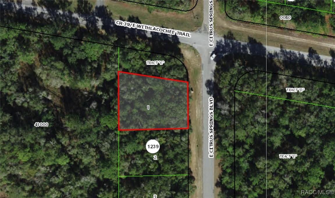 2177 E Citrus Springs Blvd., Dunnellon, FL 34434