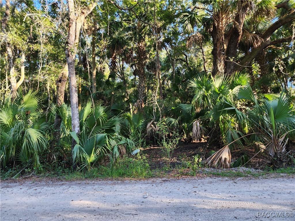 13334 E Shawnee Tr., Inverness, FL 34450