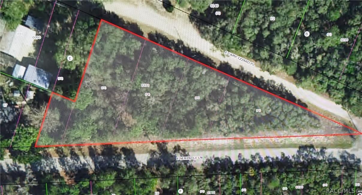 4114 E Camp Izzard Pl., Dunnellon, FL 34434