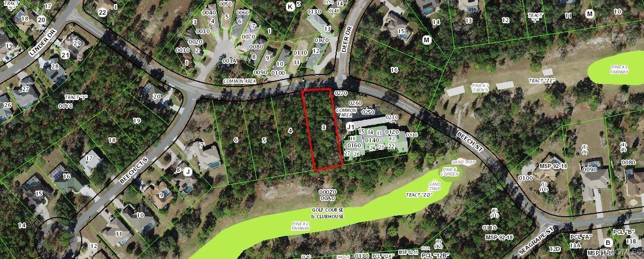 27 Beech St., Homosassa, FL 34446