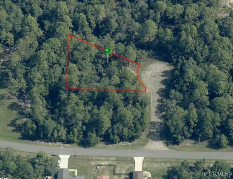 6932 N Steward Point, Citrus Springs, FL 34434
