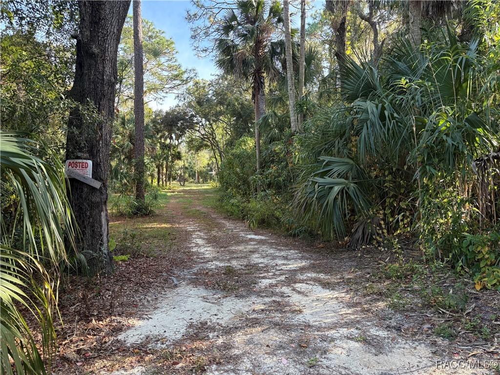 1751 S Palm Ave., Homosassa, FL 34448
