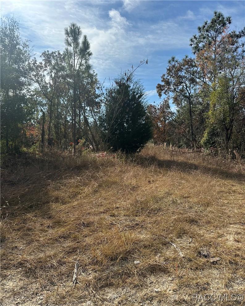 Lot 2 Ne 151st Ter., Williston, FL 32696