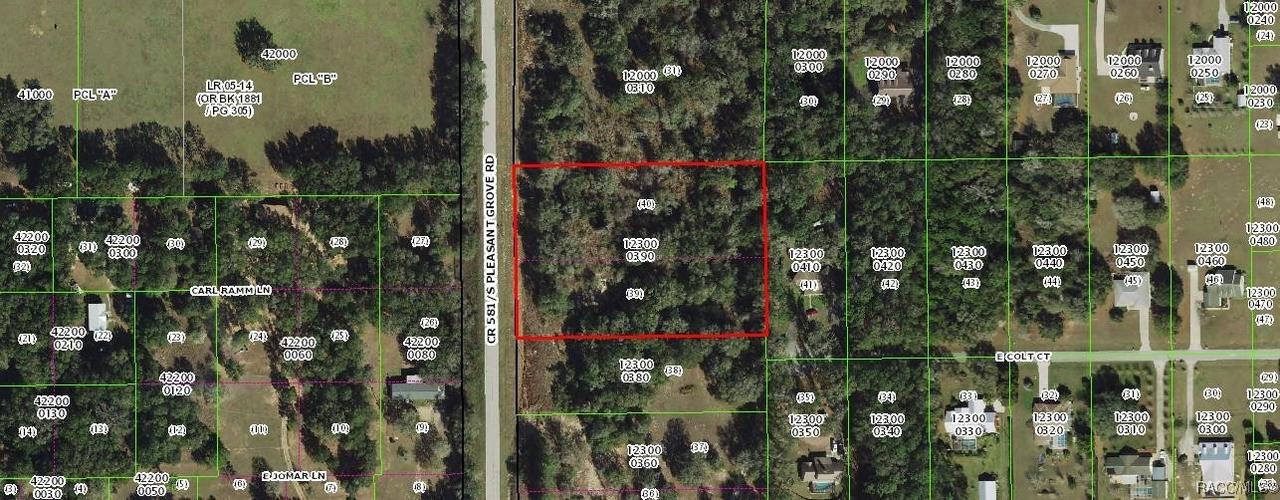 8907 S Pleasant Grove Rd., Inverness, FL 34452